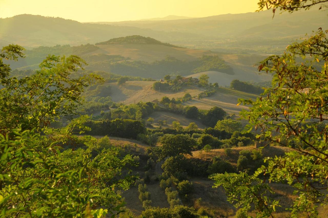 Appartamento Castello Ginori Di Querceto Querceto  Esterno foto