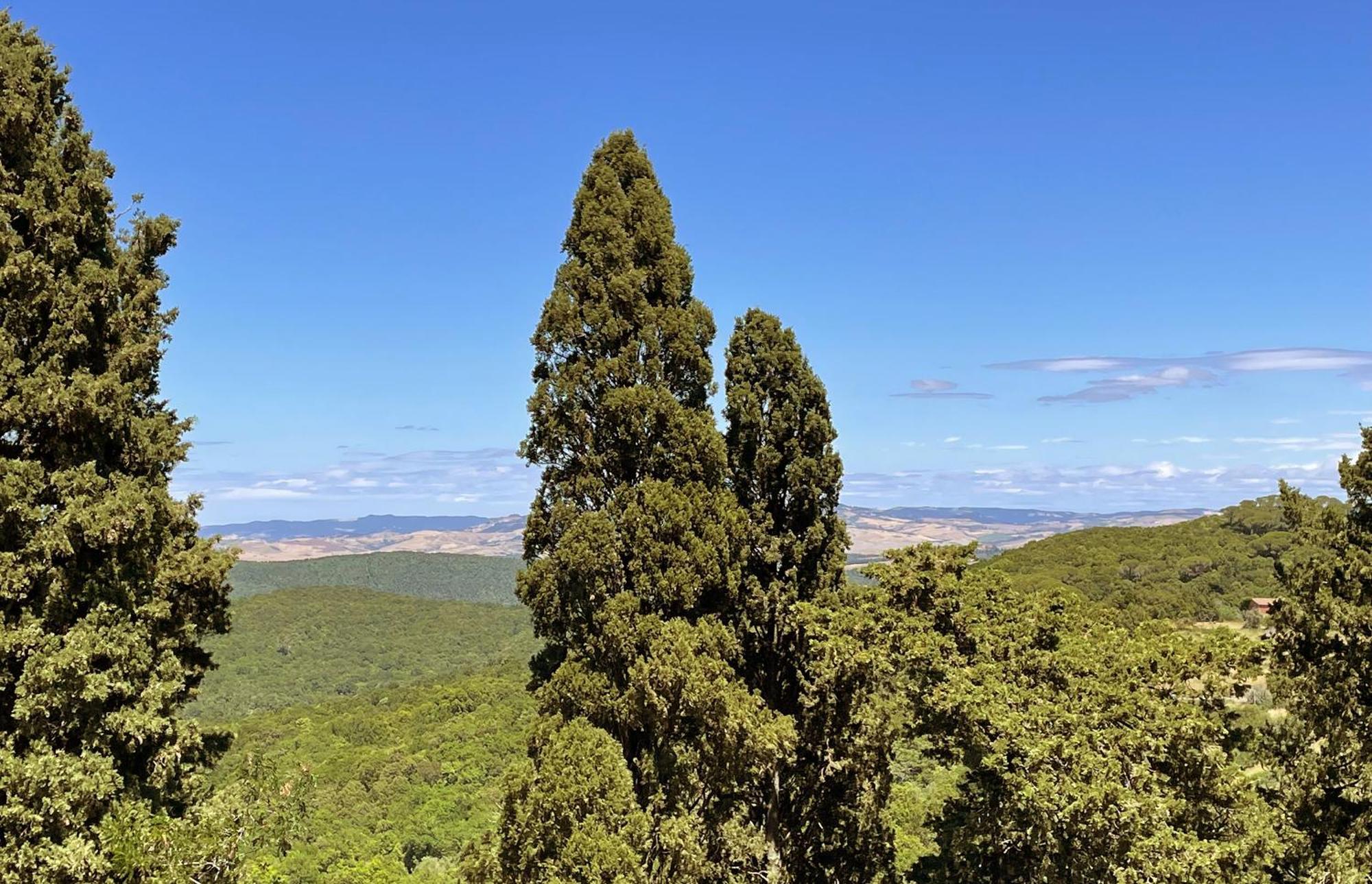 Appartamento Castello Ginori Di Querceto Querceto  Esterno foto